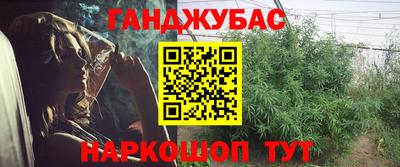 эйфоретик Новокубанск
